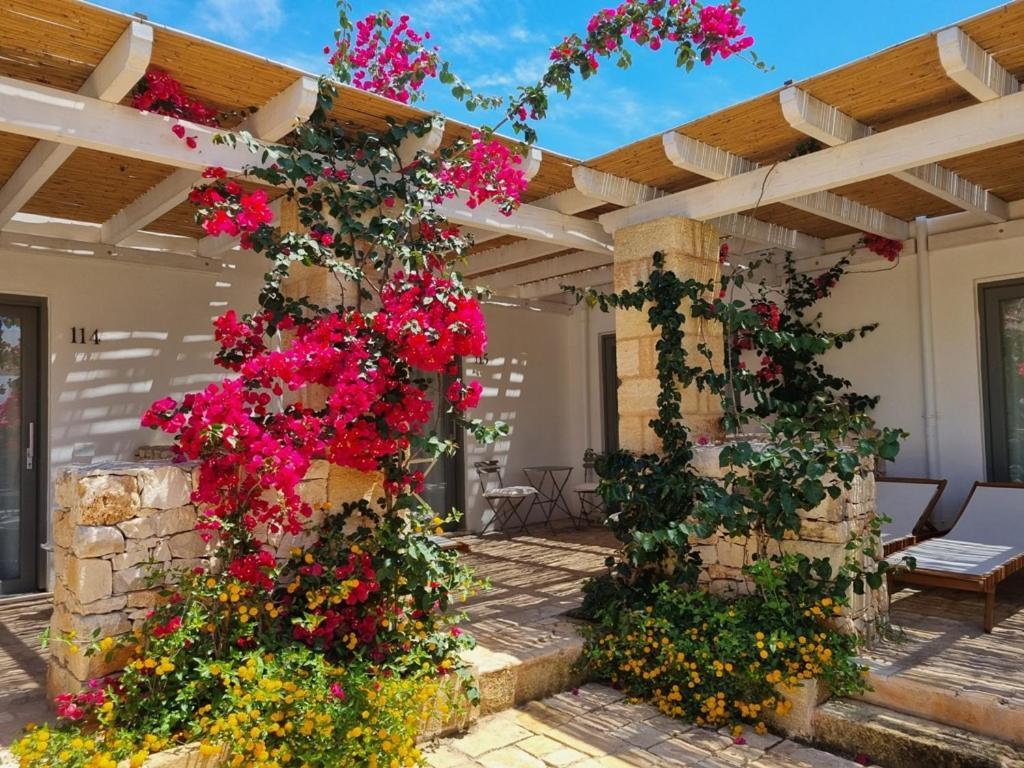 Masseria Baroni Di Montesardo Lido Marini Exteriör bild
